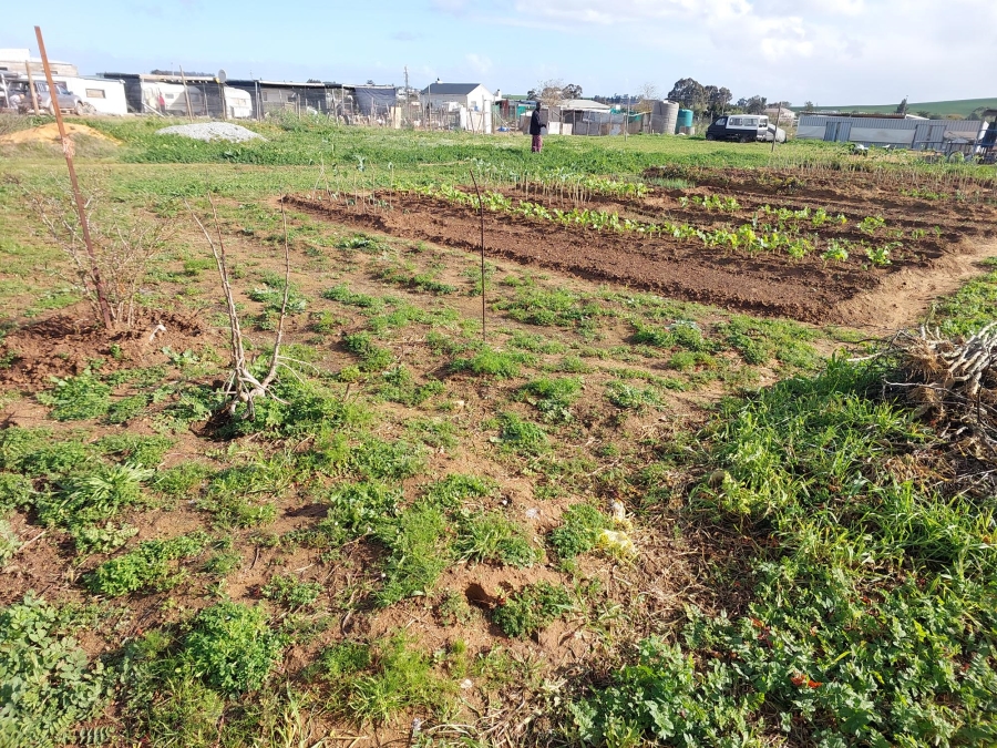 0 Bedroom Property for Sale in Moorreesburg Western Cape